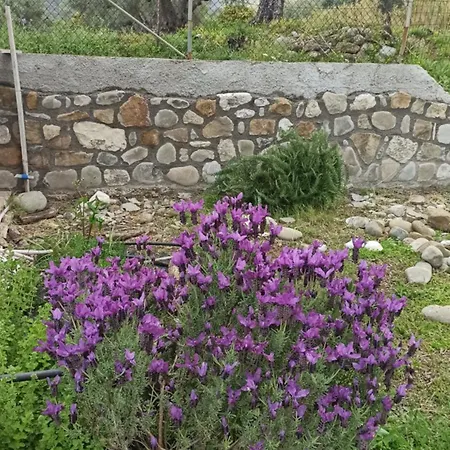 Nafpaktos Cottage By The Sea For Travelers And Dreamers! Exterior foto