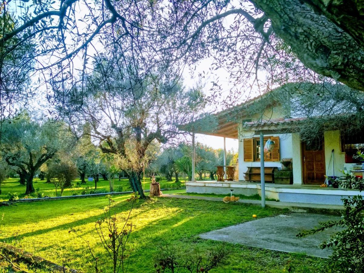 By The Sea For Travelers And Dreamers! Villa