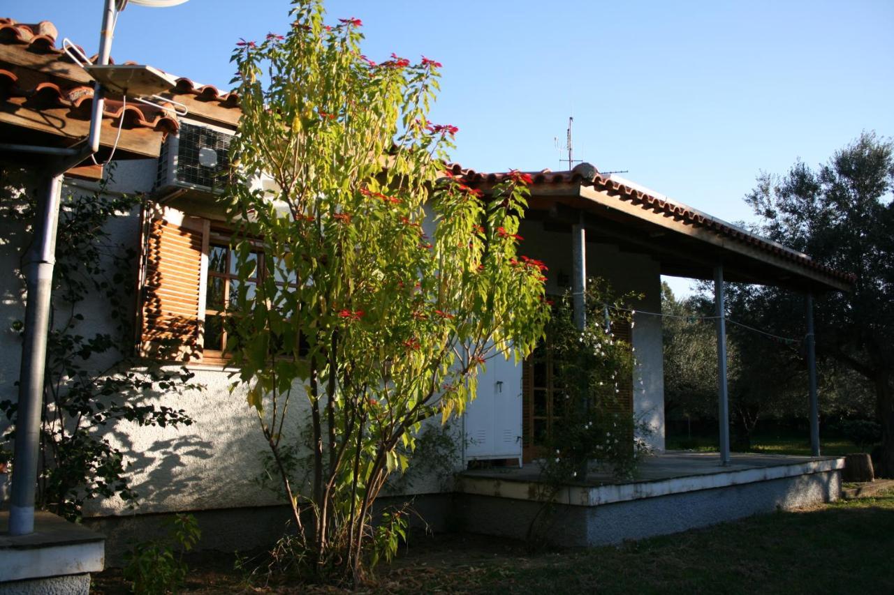 By The Sea For Travelers And Dreamers! Villa Nafpaktos