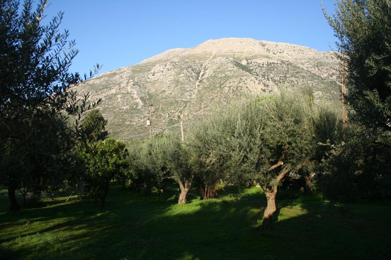 By The Sea For Travelers And Dreamers! Villa Nafpaktos